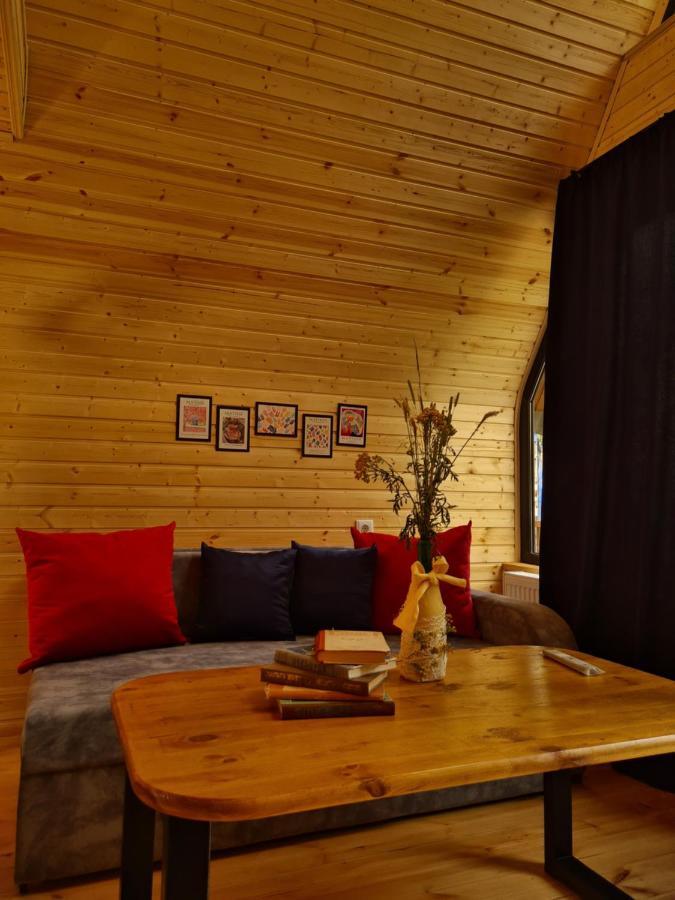 Appartamento Trip Zone Kazbegi Esterno foto